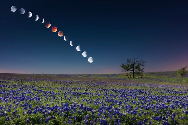 Οι πιο εντυπωσιακές φωτογραφίες που ξεχώρισαν το 2014 1065303707