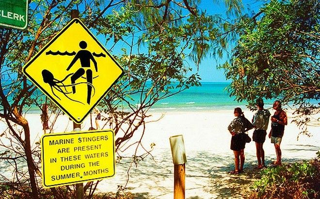 Οι πιο επικίνδυνες παραλίες του κόσμου beach3