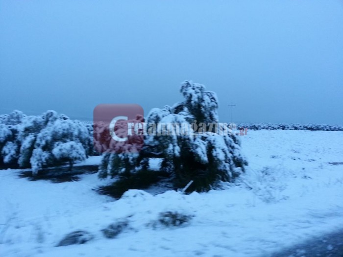 Όλη η Μεσαρά ¨ντύθηκε¨ στα λευκά gkagkales1