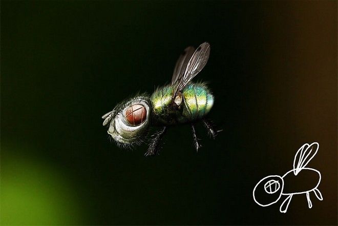Πώς θα ήταν οι ζωγραφιές των παιδιών αν "έπαιρναν" ζωή muga