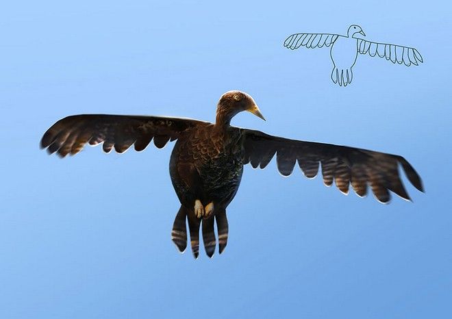 Πώς θα ήταν οι ζωγραφιές των παιδιών αν "έπαιρναν" ζωή pouli