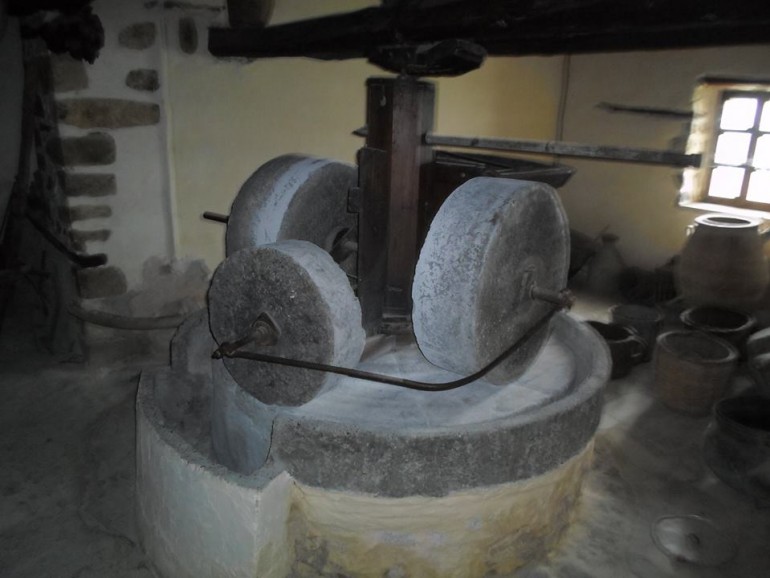 Το λιομάζωμα και το άλεσμα της ελιάς liomazwma1