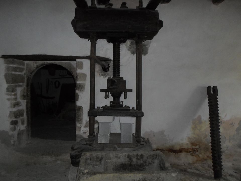 Το λιομάζωμα και το άλεσμα της ελιάς liomazwma2