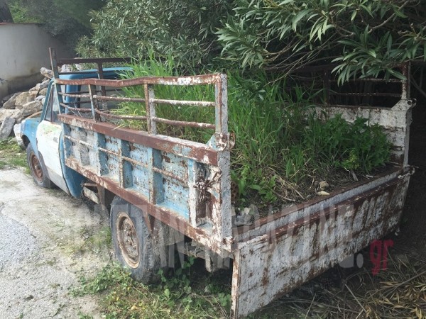 Το μικρό το κηπαλάκι στο αυτοκινητάκι aytokinhto_kipos