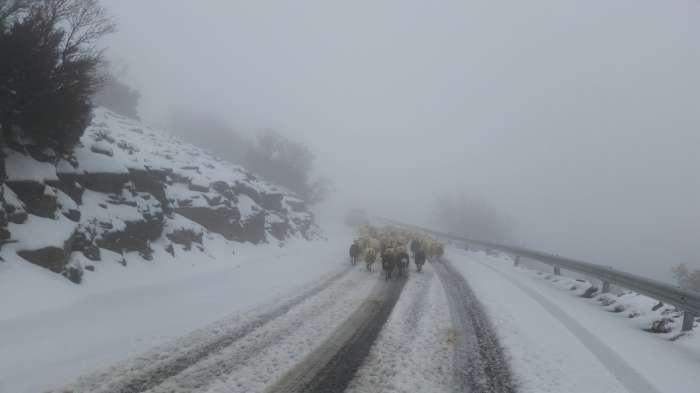 Στα "λευκά" τα Ανώγεια και τον Απρίλη xionia_anogia1