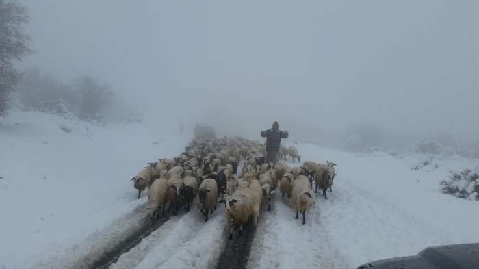 Στα "λευκά" τα Ανώγεια και τον Απρίλη xionia_anogia2