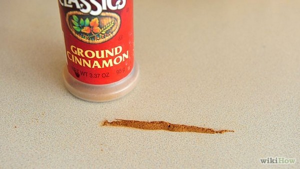 Φυσικοί τρόποι για να διώξετε τα "ζούμπερα" cinnamon-line-container