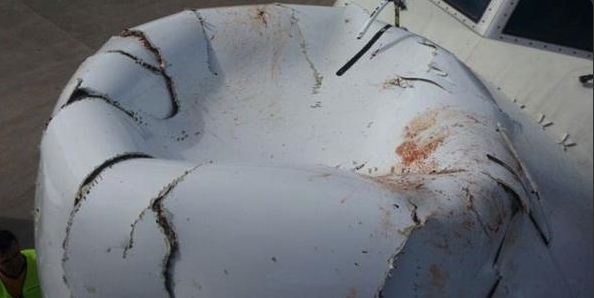 Απίστευτο: Σύγκρουση Boeing με πτηνό κατά την προσγείωση plane-3