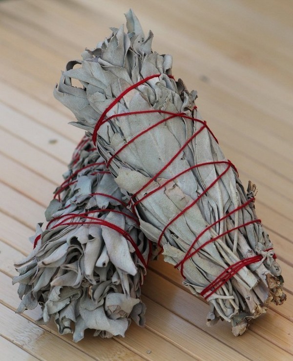 Φυσικοί τρόποι για να διώξετε τα "ζούμπερα" sage