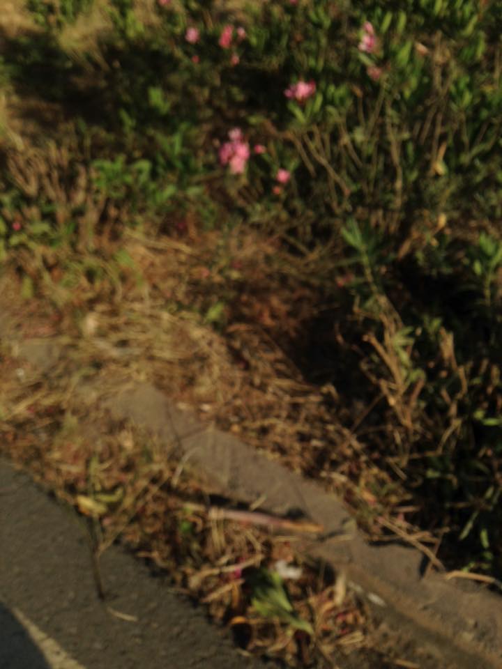 Αίσχος στον ΒΟΑΚ στο ύψος των Γουβών sfakes4