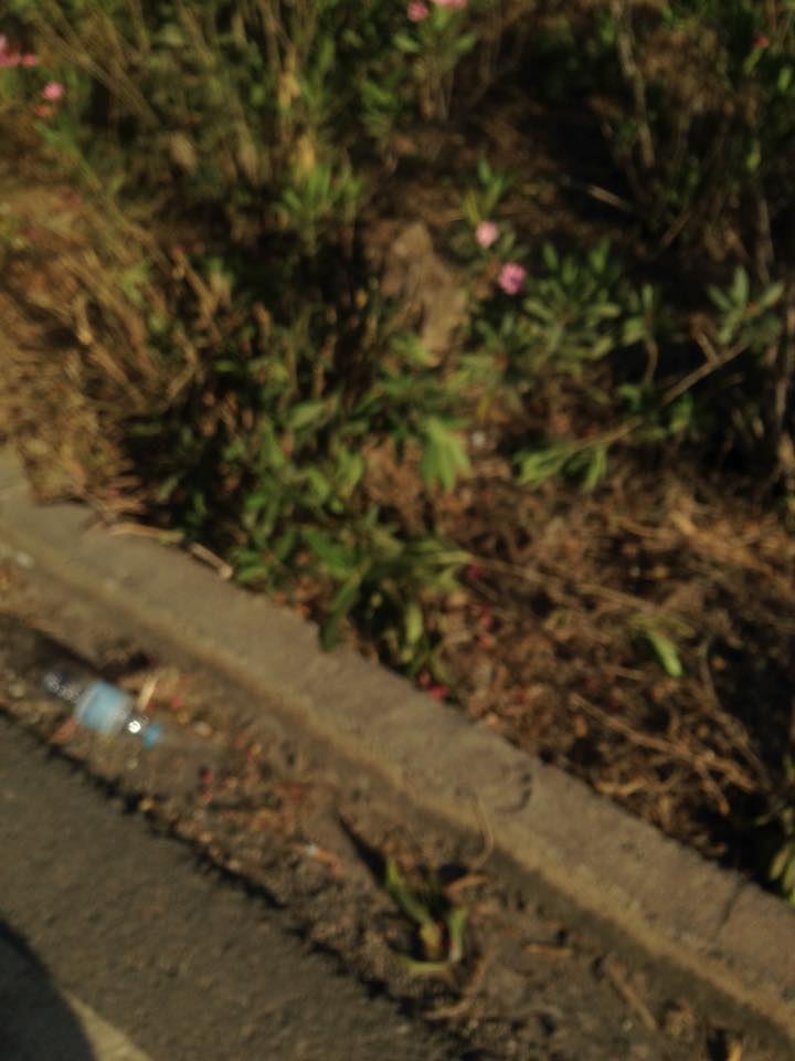 Αίσχος στον ΒΟΑΚ στο ύψος των Γουβών sfakes5