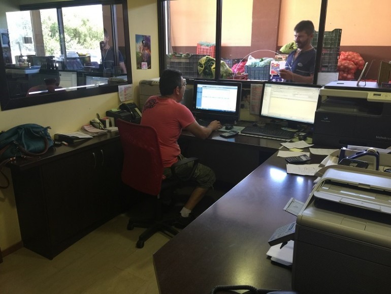 Φρουταγορά Χαλκιαδάκης στις Μοίρες xalkiadakis13