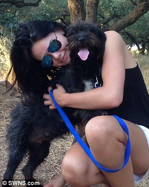 Αδέσποτος σκύλος στην Γεωργιούπολη έσωσε τουρίστρια και εκείνη τον υιοθέτησε skilos09a