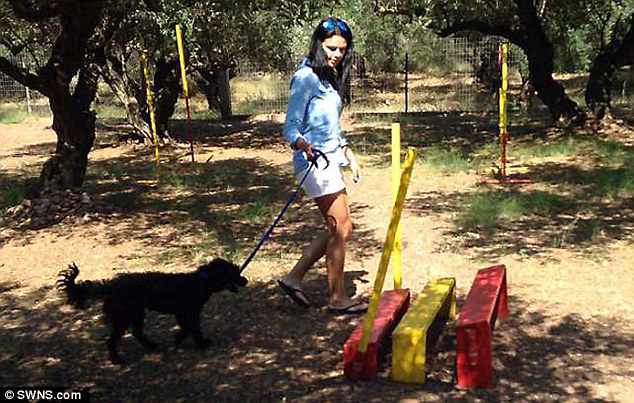 Αδέσποτος σκύλος στην Γεωργιούπολη έσωσε τουρίστρια και εκείνη τον υιοθέτησε skilos09d