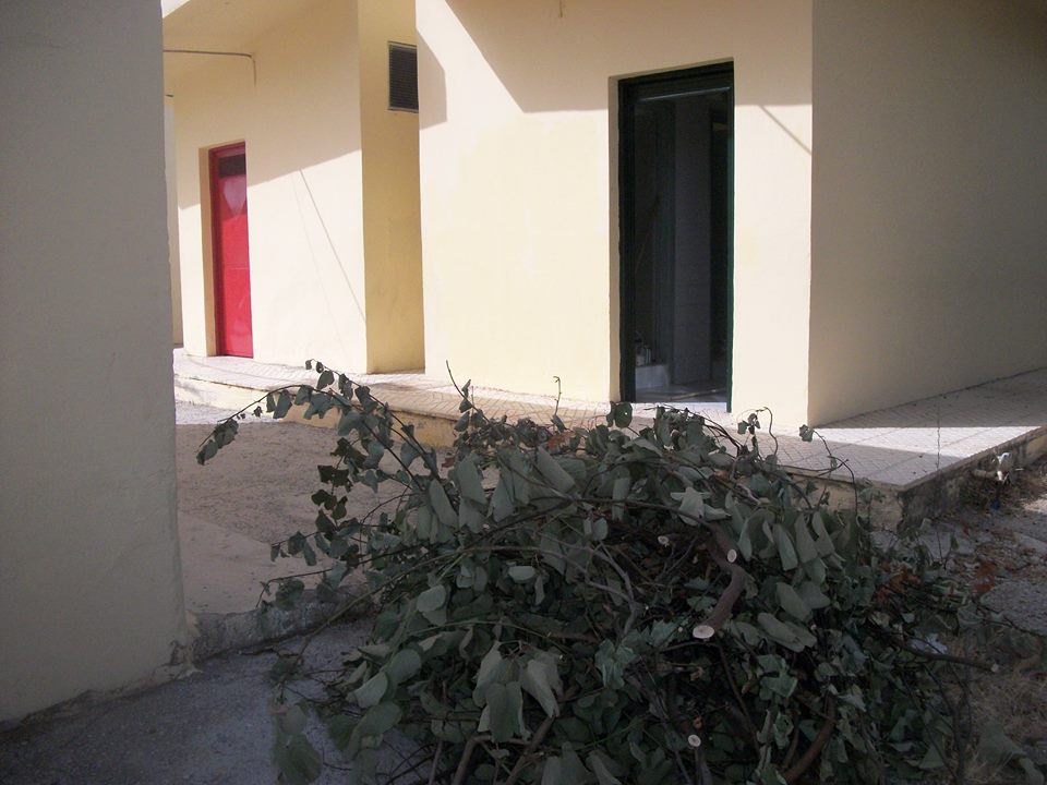 "Έλαμψε" το Δημοτικό Σχολείο Πετροκεφαλίου sxoleio-petrokefali4