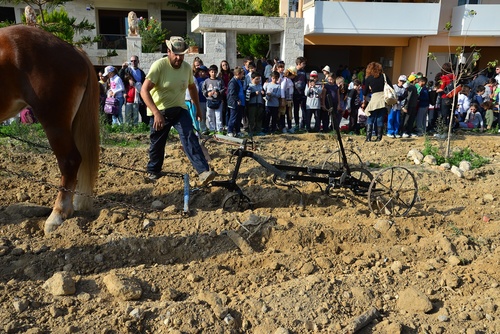 Παραδοσιακό όργωμα και σπορά στο Πάρκο Ερυθραίας parko_1