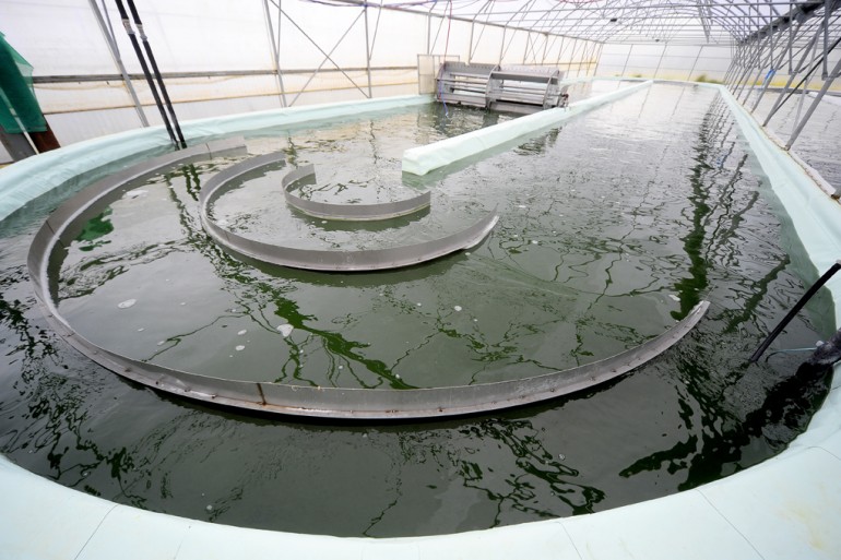 ab811670-08f4-c720-540b-2bc887f5a120