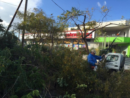 Άλλαξαν όψη τα πάρκα της Θερίσου parko_7