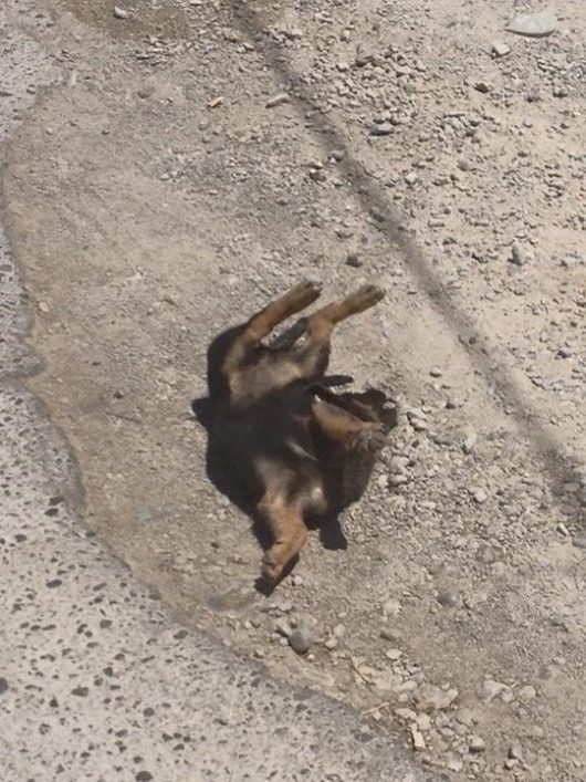 Εικόνες ντροπής στο κέντρο των Μοιρών image