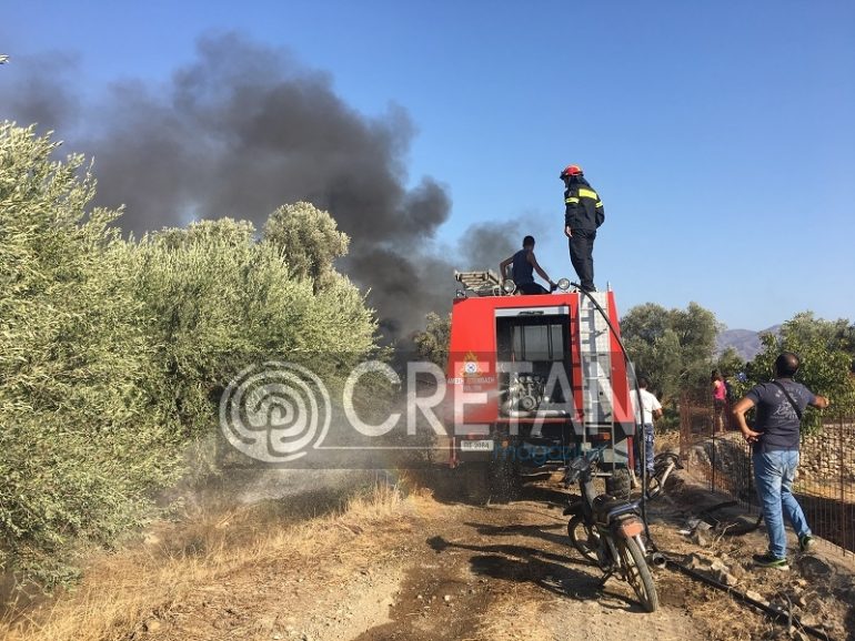 Βίντεο: Ολοκληρωτική καταστροφή στάβλου στη Μεσαρά μετά από φωτιά fotia-mitropoli