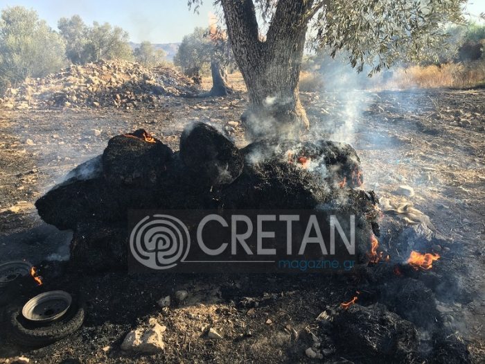 Βίντεο: Ολοκληρωτική καταστροφή στάβλου στη Μεσαρά μετά από φωτιά fotia-mitropoli10