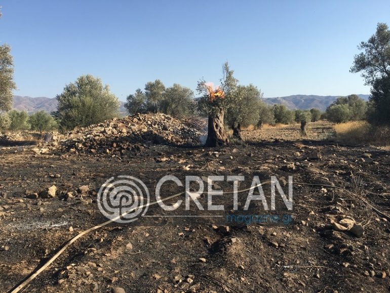 Βίντεο: Ολοκληρωτική καταστροφή στάβλου στη Μεσαρά μετά από φωτιά fotia-mitropoli5