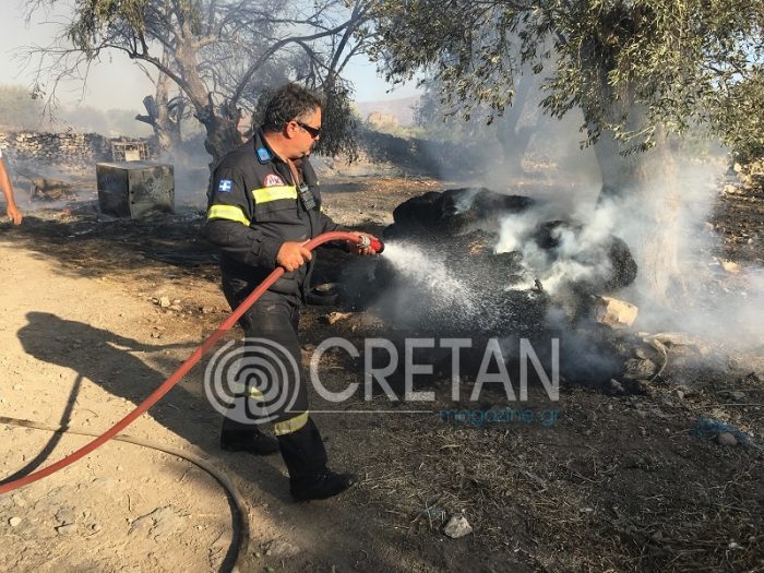Βίντεο: Ολοκληρωτική καταστροφή στάβλου στη Μεσαρά μετά από φωτιά fotia-mitropoli9