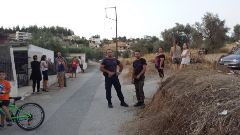 Σκύλος εντόπισε φόλες στις Μοίρες image