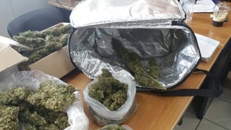 Δήμος Γόρτυνας: Η μεγάλη ποσότητα κάνναβης του φόρεσαν χειροπέδες xasis-9871