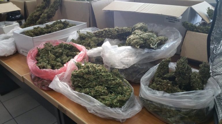 Δήμος Γόρτυνας: Η μεγάλη ποσότητα κάνναβης του φόρεσαν χειροπέδες xasis-9872