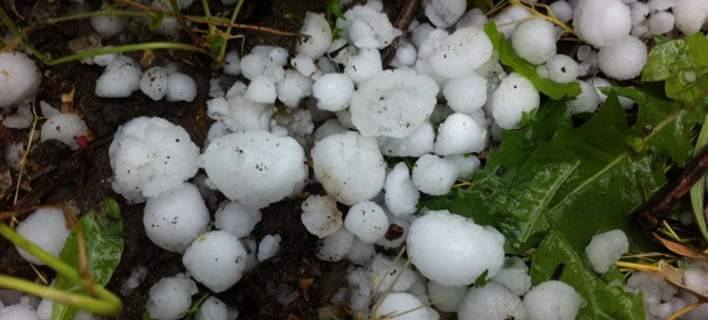 Μην τρώτε κουκοσάλιο γιατί έχει μέσα του κεραυνού το σίντερο