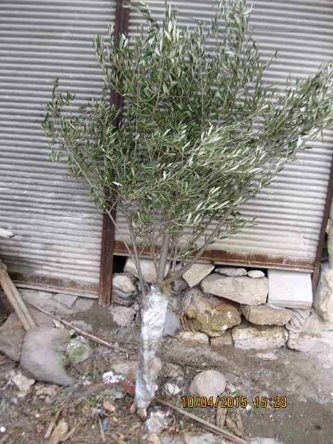 Ήθη και έθιμα στην Κρήτη, της Σαρακοστής και του Πάσχα