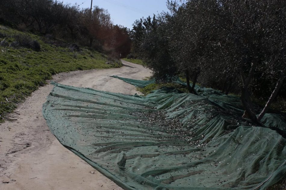Μια λινάτσα στην Ομόνοια και η λινάτσα του Γιώργη!