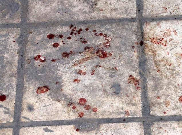 Άγριο ξύλο στο κέντρο του Ηρακλείου για την ζωοκτονία στο Γεράκι